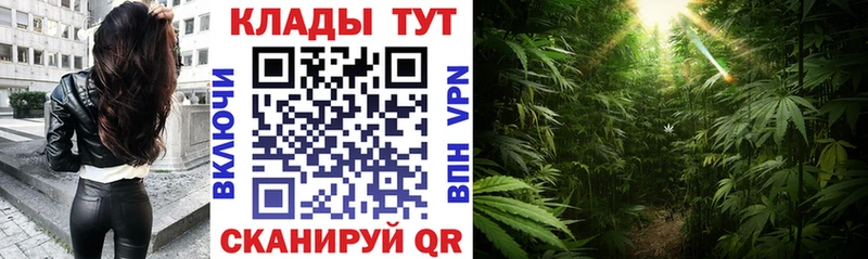 Купить закладку Кодеин  АМФ  Мефедрон  Гашиш  Каннабис  СК  Дмитровск