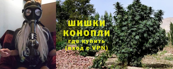 дживик Карпинск