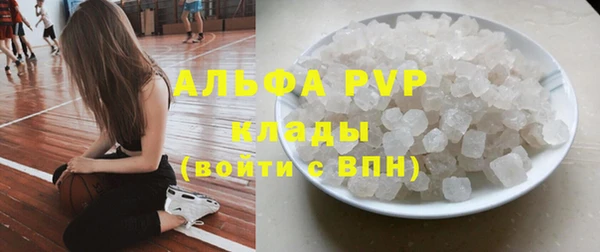 дживик Карпинск