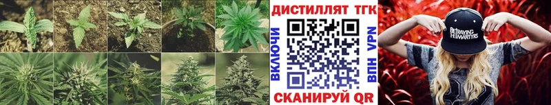 Дистиллят ТГК Wax  Купить  Дмитровск 